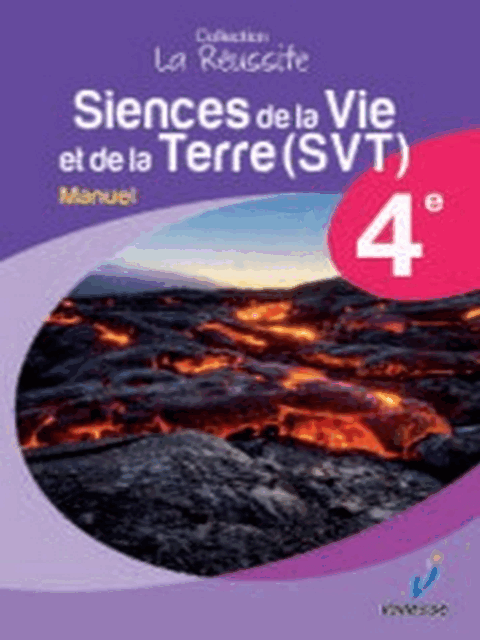 S.V . T 4eme VALLESSE (manuel)
