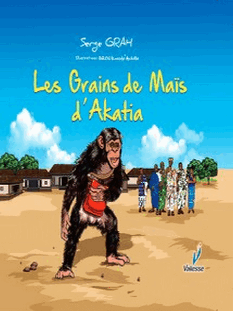 Les grains de mais akatia